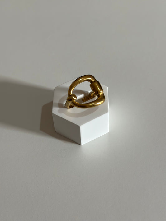 Anello Legame